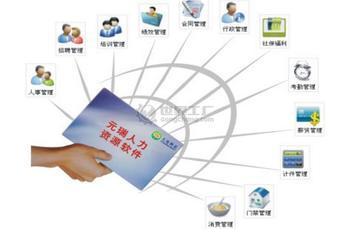 人力资源管理软件在人力资源服务中的关键作用与未来发展