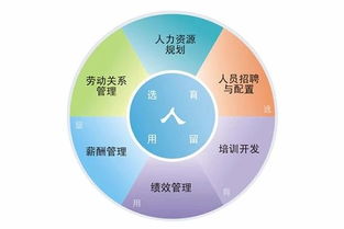 深圳办理人力资源服务许可证全指南 条件、部门与流程